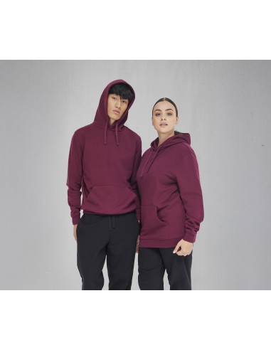 BetC-WG008-ID.223 Hoodie